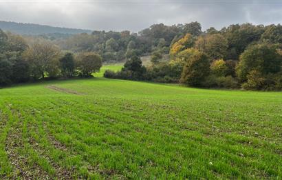 C21 BAL'DA ESKİMANYASTA ORMANA CEPHE 13.434 m² YOLU OlAN TARLA