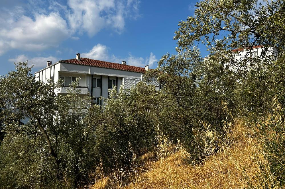 C21 Cius; Hasanağa Koy Üstü Ayrık Nizam 6 Kat 1.60 Emsal Arsa