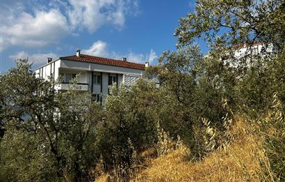 C21 Cius; Hasanağa Koy Üstü Ayrık Nizam 6 Kat 1.60 Emsal Arsa