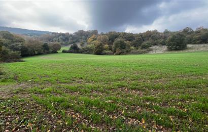 C21 BAL'DA ESKİMANYASTA ORMANA CEPHE 13.434 m² YOLU OlAN TARLA