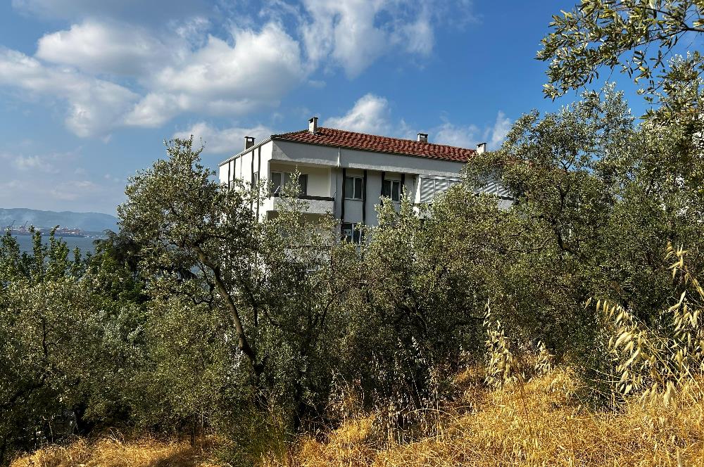 C21 Cius; Hasanağa Koy Üstü Ayrık Nizam 6 Kat 1.60 Emsal Arsa