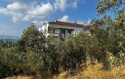 C21 Cius; Hasanağa Koy Üstü Ayrık Nizam 6 Kat 1.60 Emsal Arsa