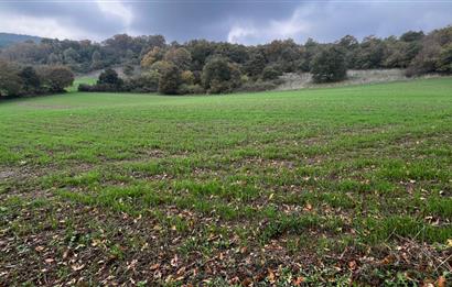 C21 BAL'DA ESKİMANYASTA ORMANA CEPHE 13.434 m² YOLU OlAN TARLA