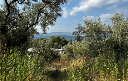 C21 Cius; Hasanağa Cad. Cephe Ayrık Nizam 2 Kat 0.60 Emsal Arsa