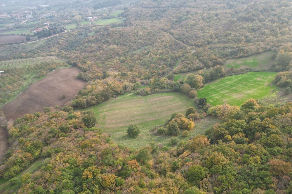 C21 BAL'DA ESKİMANYASTA ORMANA CEPHE 13.434 m² YOLU OlAN TARLA