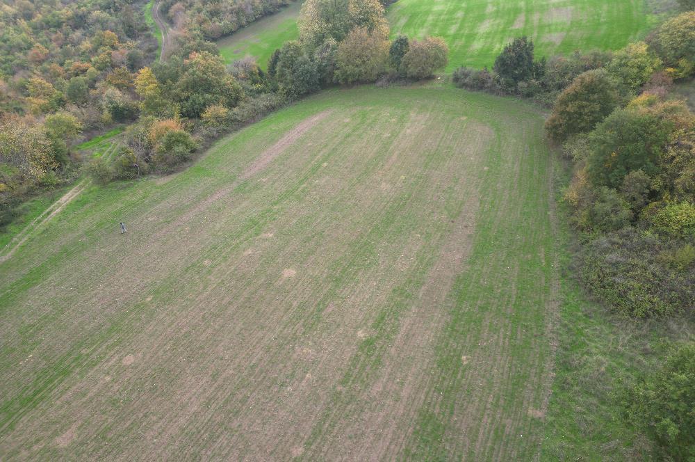 C21 BAL'DA ESKİMANYASTA ORMANA CEPHE 13.434 m² YOLU OlAN TARLA