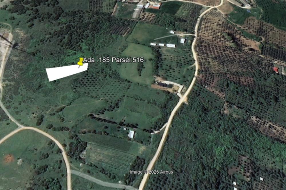 Century 21 Bal'dan Bandırma Edincik Mahallesinde Satılık Tarla