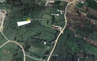 Century 21 Bal'dan Bandırma Edincik Mahallesinde Satılık Tarla