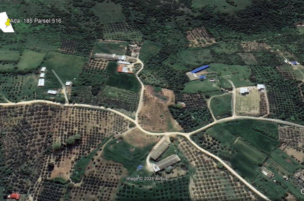 Century 21 Bal'dan Bandırma Edincik Mahallesinde Satılık Tarla