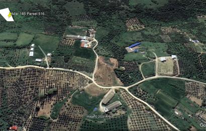 Century 21 Bal'dan Bandırma Edincik Mahallesinde Satılık Tarla