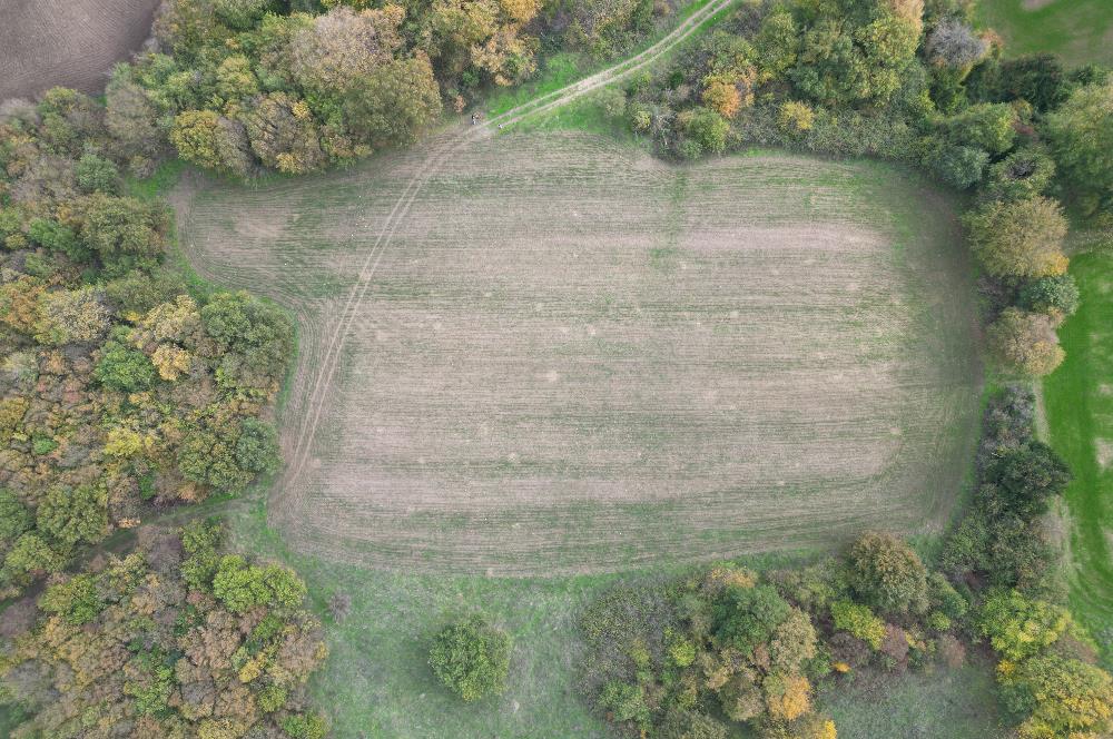 C21 BAL'DA ESKİMANYASTA ORMANA CEPHE 13.434 m² YOLU OlAN TARLA