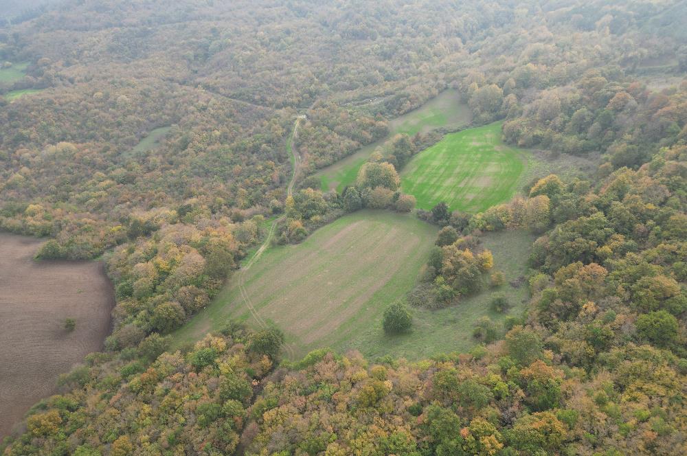 C21 BAL'DA ESKİMANYASTA ORMANA CEPHE 13.434 m² YOLU OlAN TARLA