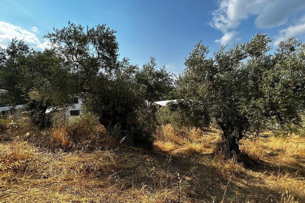 C21 Cius; Hasanağa Cad. Cephe Ayrık Nizam 2 Kat 0.60 Emsal Arsa