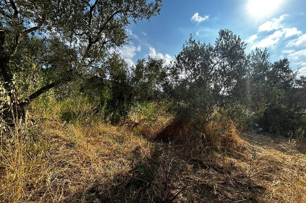 C21 Cius; Hasanağa Cad. Cephe Ayrık Nizam 2 Kat 0.60 Emsal Arsa