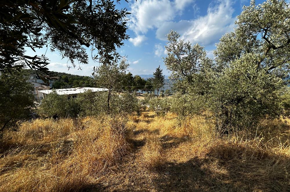 C21 Cius; Hasanağa Cad. Cephe Ayrık Nizam 2 Kat 0.60 Emsal Arsa