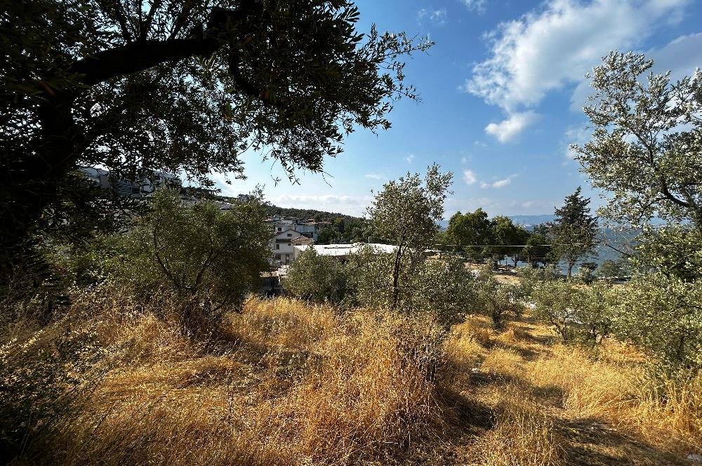 C21 Cius; Hasanağa Cad. Cephe Ayrık Nizam 2 Kat 0.60 Emsal Arsa