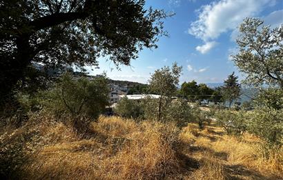 C21 Cius; Hasanağa Cad. Cephe Ayrık Nizam 2 Kat 0.60 Emsal Arsa