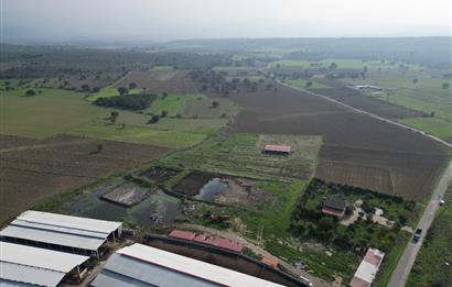 BURHANİYE ŞAHİNLER'DE 2 PARSEL TOPLAM 8.898 M2 TARLA C21BAL