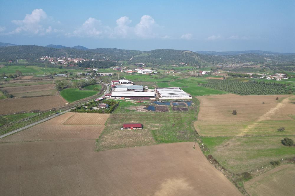 BURHANİYE ŞAHİNLER'DE 2 PARSEL TOPLAM 8.898 M2 TARLA C21BAL