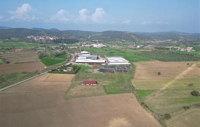 BURHANİYE ŞAHİNLER'DE 2 PARSEL TOPLAM 8.898 M2 TARLA C21BAL