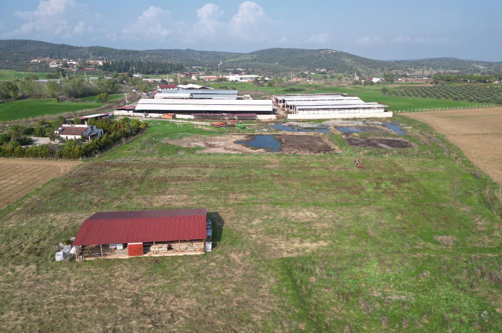 BURHANİYE ŞAHİNLER'DE 2 PARSEL TOPLAM 8.898 M2 TARLA C21BAL