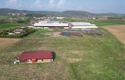 BURHANİYE ŞAHİNLER'DE 2 PARSEL TOPLAM 8.898 M2 TARLA C21BAL