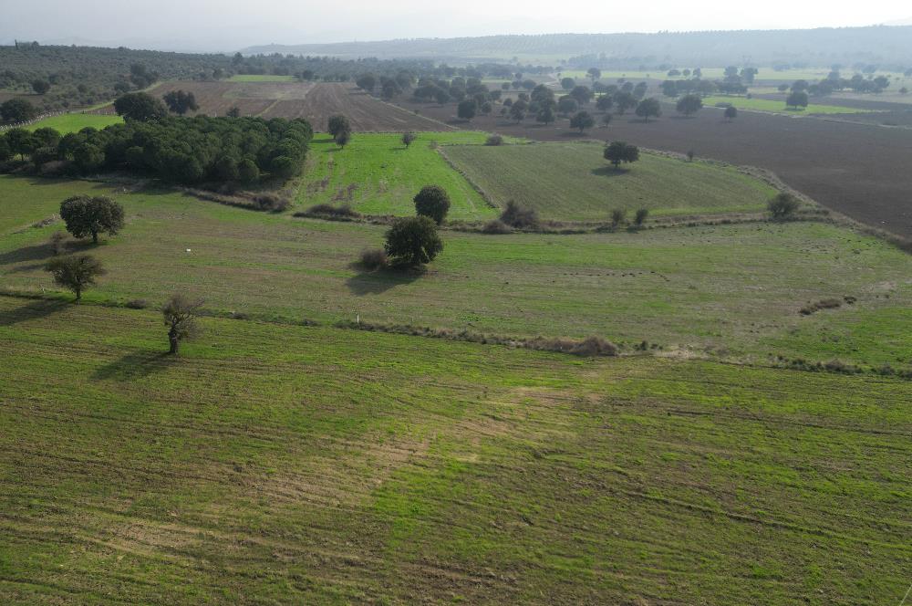 BURHANİYE ŞAHİNLER'DE 2 PARSEL TOPLAM 8.898 M2 TARLA C21BAL