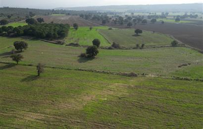 BURHANİYE ŞAHİNLER'DE 2 PARSEL TOPLAM 8.898 M2 TARLA C21BAL