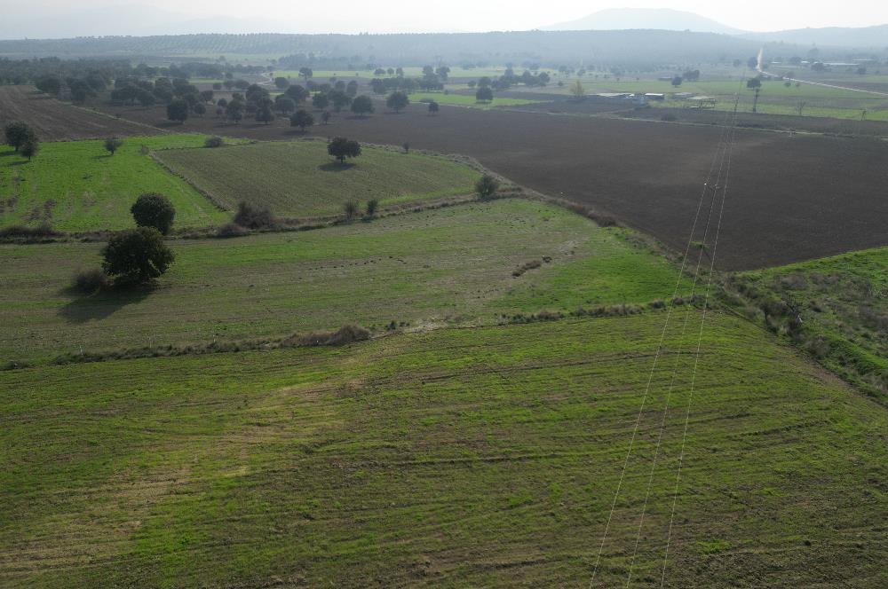 BURHANİYE ŞAHİNLER'DE 2 PARSEL TOPLAM 8.898 M2 TARLA C21BAL