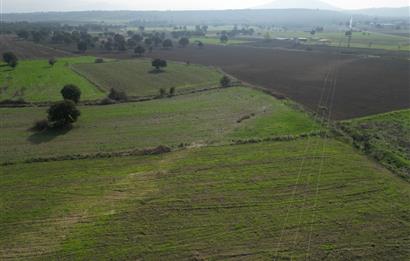 BURHANİYE ŞAHİNLER'DE 2 PARSEL TOPLAM 8.898 M2 TARLA C21BAL