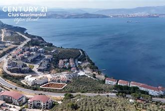 C21 Cius; Hasanağa Koy Üstü Ayrık Nizam 2 Kat 0.60 Emsal Arsa - 2 - 29452