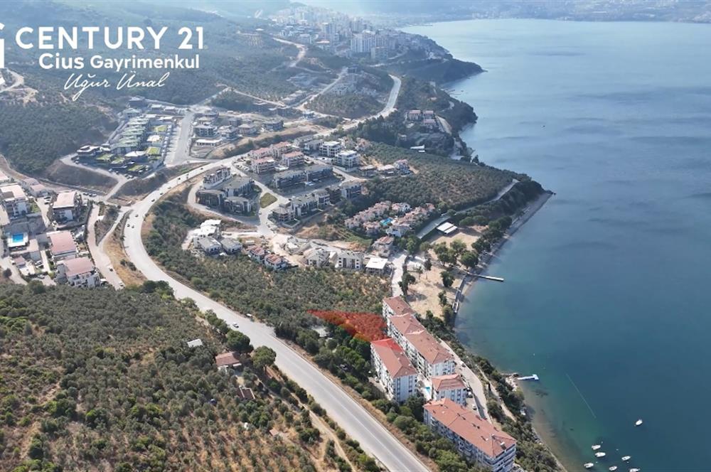 C21 Cius; Hasanağa Koy Üstü Ayrık Nizam 6 Kat 1.60 Emsal Arsa