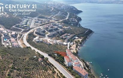 C21 Cius; Hasanağa Koy Üstü Ayrık Nizam 6 Kat 1.60 Emsal Arsa