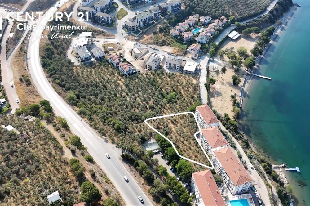 C21 Cius; Hasanağa Koy Üstü Ayrık Nizam 6 Kat 1.60 Emsal Arsa