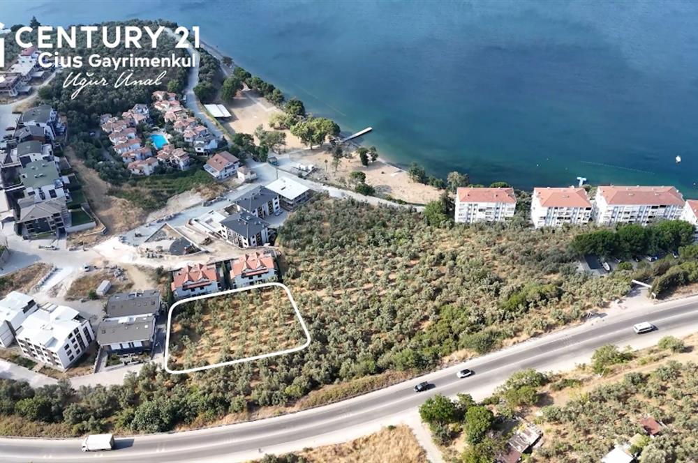 C21 Cius; Hasanağa Koy Üstü Ayrık Nizam 2 Kat 0.60 Emsal Arsa