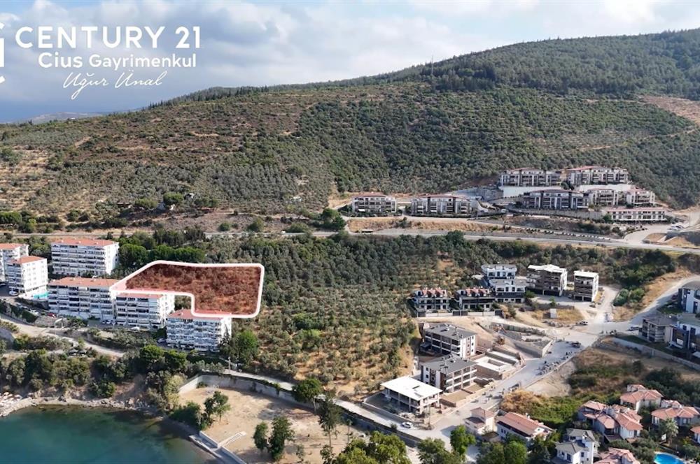 C21 Cius; Hasanağa Koy Üstü Ayrık Nizam 6 Kat 1.60 Emsal Arsa