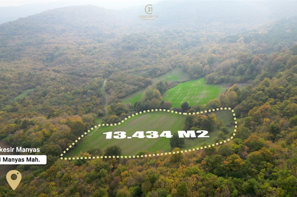 C21 BAL'DA ESKİMANYASTA ORMANA CEPHE 13.434 m² YOLU OlAN TARLA