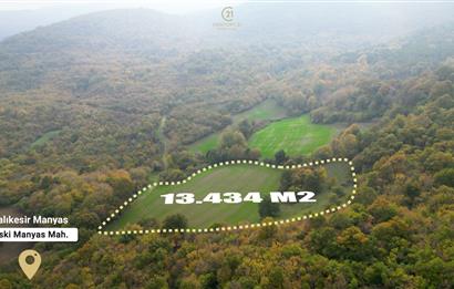 C21 BAL'DA ESKİMANYASTA ORMANA CEPHE 13.434 m² YOLU OlAN TARLA