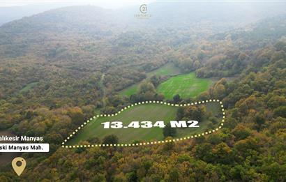 C21 BAL'DA ESKİMANYASTA ORMANA CEPHE 13.434 m² YOLU OlAN TARLA