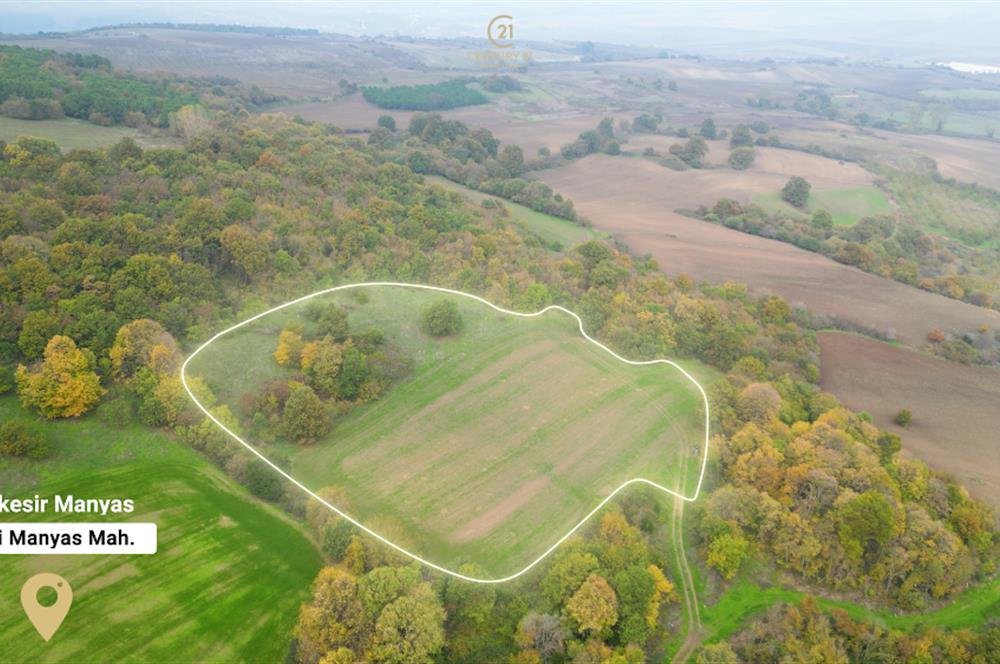 C21 BAL'DA ESKİMANYASTA ORMANA CEPHE 13.434 m² YOLU OlAN TARLA