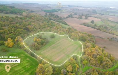 C21 BAL'DA ESKİMANYASTA ORMANA CEPHE 13.434 m² YOLU OlAN TARLA