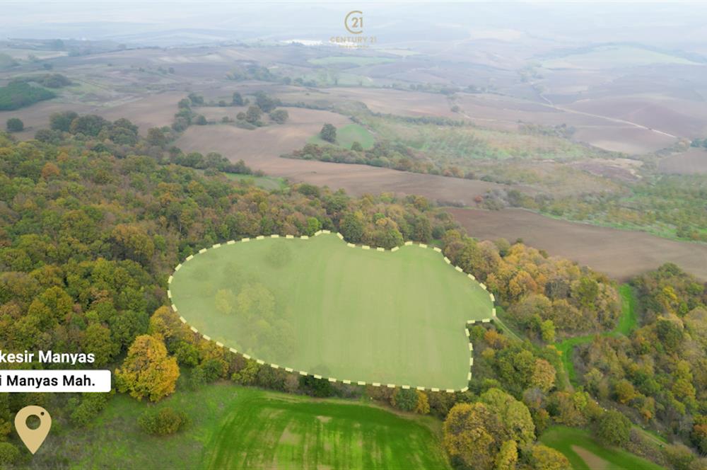 C21 BAL'DA ESKİMANYASTA ORMANA CEPHE 13.434 m² YOLU OlAN TARLA