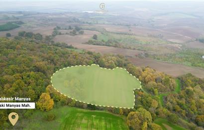 C21 BAL'DA ESKİMANYASTA ORMANA CEPHE 13.434 m² YOLU OlAN TARLA