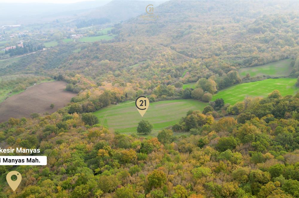 C21 BAL'DA ESKİMANYASTA ORMANA CEPHE 13.434 m² YOLU OlAN TARLA