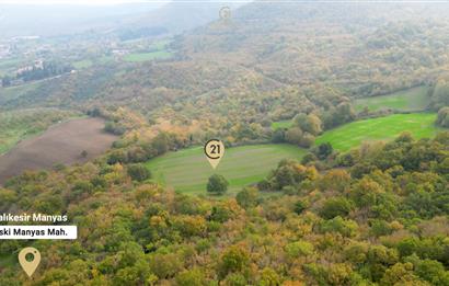 C21 BAL'DA ESKİMANYASTA ORMANA CEPHE 13.434 m² YOLU OlAN TARLA