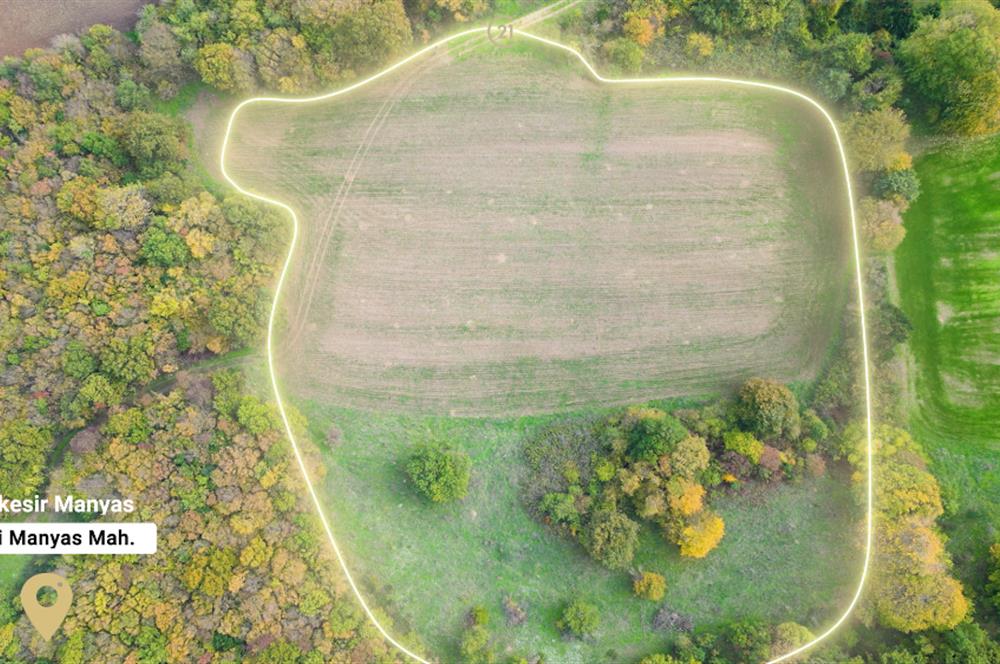 C21 BAL'DA ESKİMANYASTA ORMANA CEPHE 13.434 m² YOLU OlAN TARLA