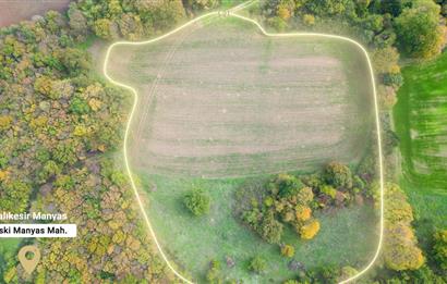 C21 BAL'DA ESKİMANYASTA ORMANA CEPHE 13.434 m² YOLU OlAN TARLA