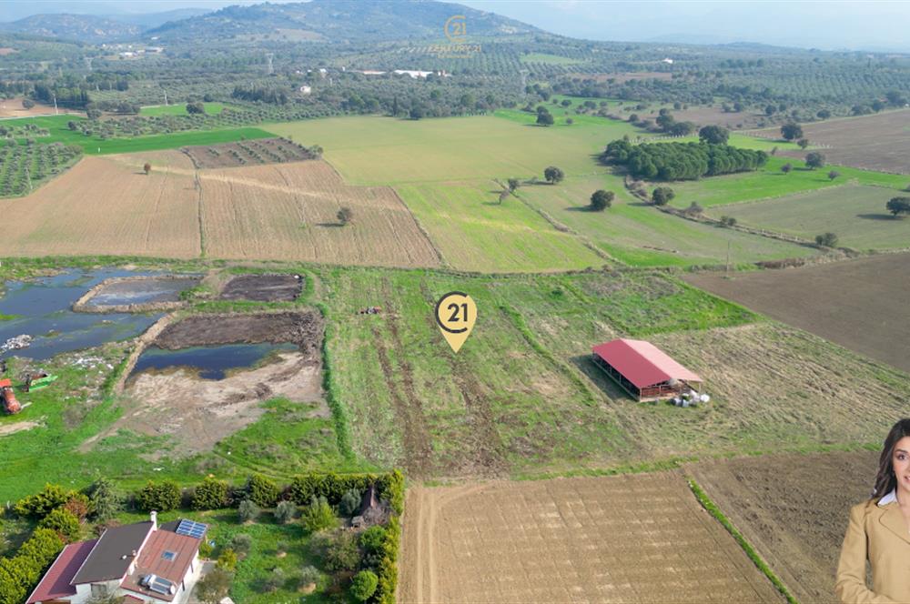 BURHANİYE ŞAHİNLER'DE 2 PARSEL TOPLAM 8.898 M2 TARLA C21BAL