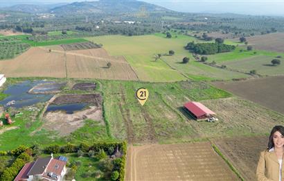 BURHANİYE ŞAHİNLER'DE 2 PARSEL TOPLAM 8.898 M2 TARLA C21BAL