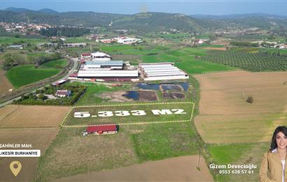 BURHANİYE ŞAHİNLER'DE 2 PARSEL TOPLAM 8.898 M2 TARLA C21BAL